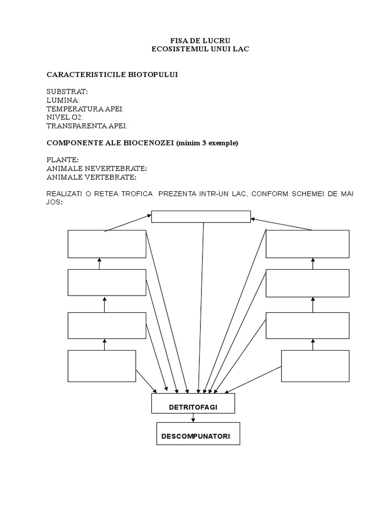 Fisa De Lucru Lac
