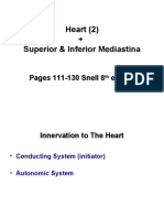 Heart (2) + Superior & Inferior Mediastina