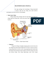 Indera-Pendengaran.pdf