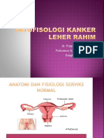 Power Point Patofisiologi Cerviks