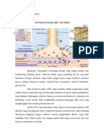 75772334-Patofisiologi-miastenia-gravis.doc