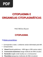 Aula 1.1 - Citoplasma e Organelas Citoplasmáticas