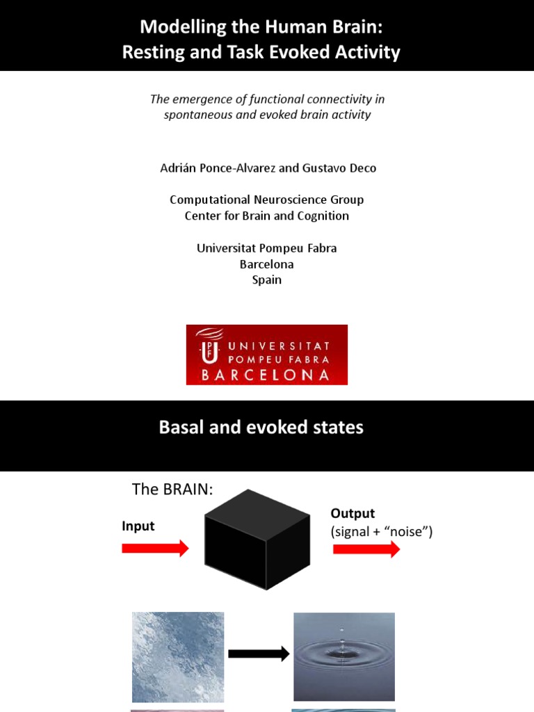 Modelling The Human Brain | PDF | Neural Oscillation | Brain
