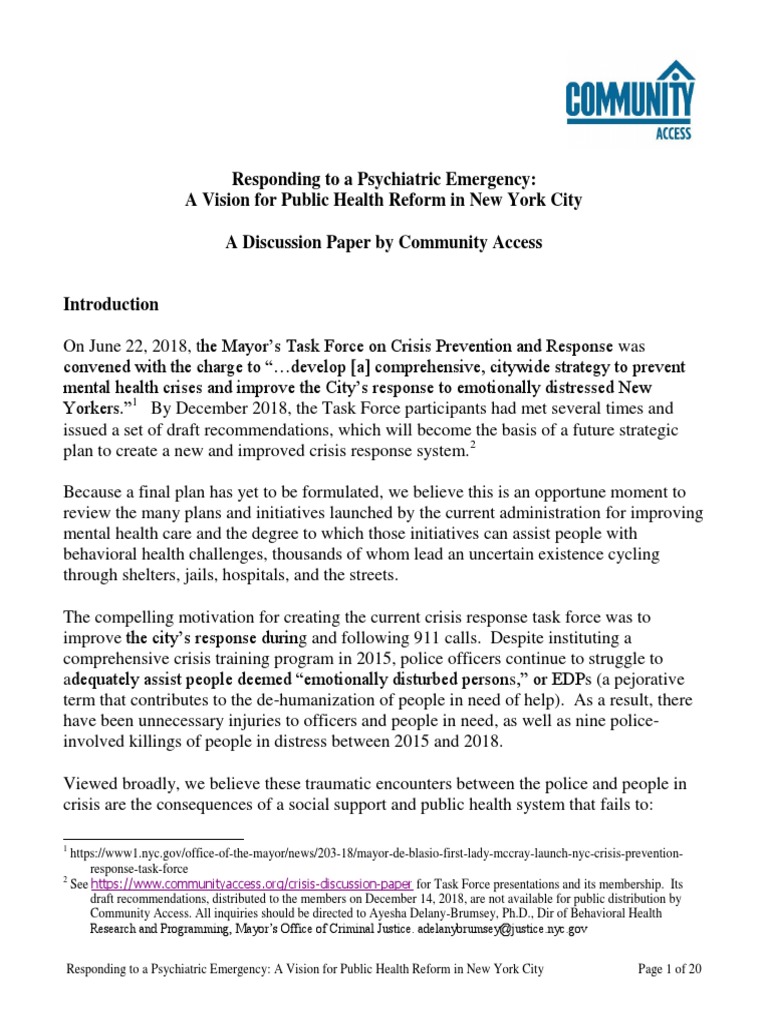 Institute for disaster mental health image