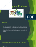 Enzyme:Enolase: Valdez López Paola Daniela 2CM6