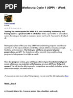 Body Armor Mma Training Program Phil Daru Pdf Foot Goal