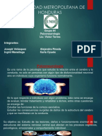 Psiconeurología: Estudio relación cerebro-conducta