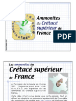 Ammonites Du Crétacé Supérieur de France