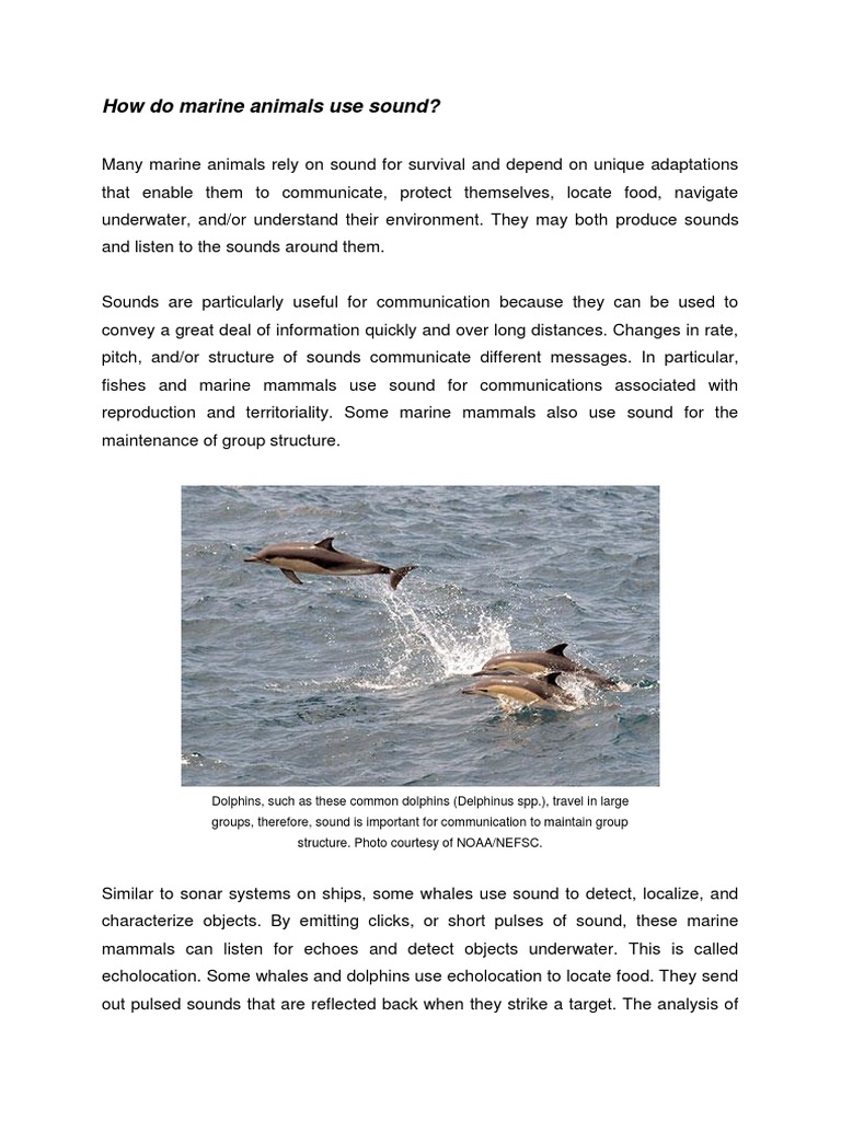 Marine Animals' Sound Communication | PDF