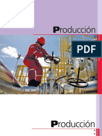Produccion PDF