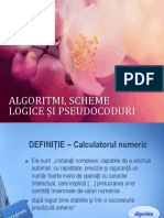 Algoritmi, Scheme Logice Și Pseudocod PDF