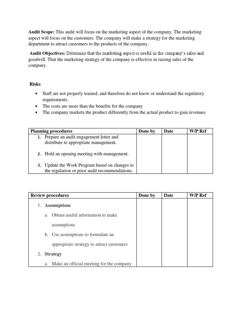 Audit Scope: This Audit Will Focus On The Marketing Aspect of The ...