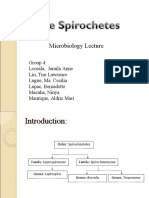 Spirochetes (Final Na Tlga)