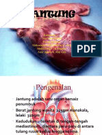 sistem2 n perikardium