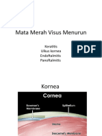 keratitis, ulkus, endoftalmitis-1.ppt