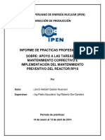 Informe Final Practicas Pre Prod PDF