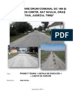 316790731-Proiect-Tehnic-DRUMURI.pdf