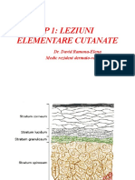 LP1 LEZIUNI ELEMENTARE CUTANATE.pptx