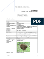 Termeni apicoli RO-FR.pdf
