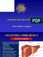 Anatomia, Tumori Primitivi e Secondari Del Fegato Definitiva