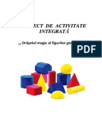 14-OnicaLarisa-Proiect de Activitate Integrata Oraselul Formelor Geometrice PDF