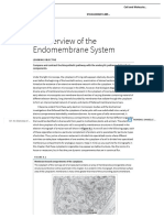 An Overview of The Endomembrane System