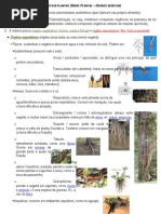 7 Partesvegetais 140426145709 Phpapp02