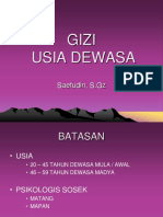 Diet Gizi-Dewasa-Dan-Lansia