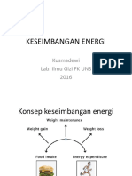 KESEIMBANGAN ENERGI DAN PENTINGNYA MENJAGANYA