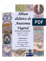 Oliveira e Machado (2009) - Álbum Didático de Anatomia Vegetal
