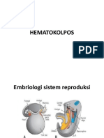 HEMATOKOLPOS