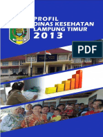 1804 Lampung Kab Lampung Timur 2013 PDF