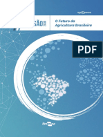 Visão 2030 - o futuro da agricultura brasileira.pdf