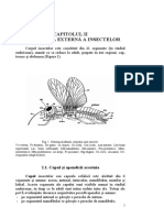 Materie Examen Entomologie