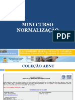 minicursonormalizacao.pdf