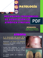 Atrofia y Metaplasia
