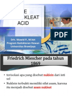 Asam nukleat.en.id.pptx