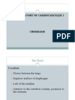 Anatomy of Cardiovascular 1 PDF