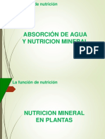 5. Nutrición Mineral en Plantas (1)