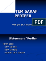 2-sistem-saraf-perifer.ppt