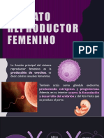 Reproductor Femenino