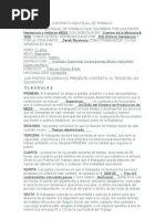 Modelo Contrato Individual de Trabajo  Gobierno  Política