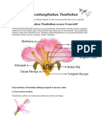 Perkembangbiakan Tumbuhan Vegetatif Bergambar