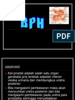BPH.ppt