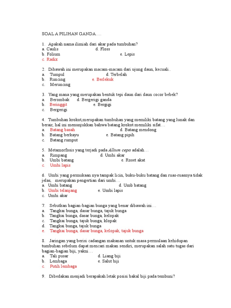 Soal A Pilihan Ganda  PDF