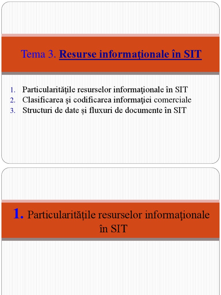 Resurse Informationale SIT | PDF
