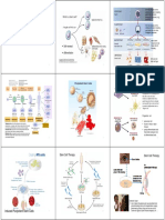 Lecture 3c_Stem Cells (Joel)