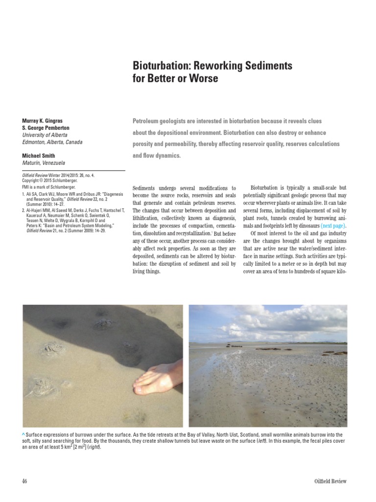 Bioturbation: Reworking Sediments For Better or Worse: Murray K ...