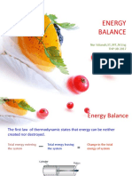 KP1 - Energy Balance of Mixing Process PDF