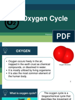 Oxygen Cycle: Prepared By: Norally Mae P. Avila